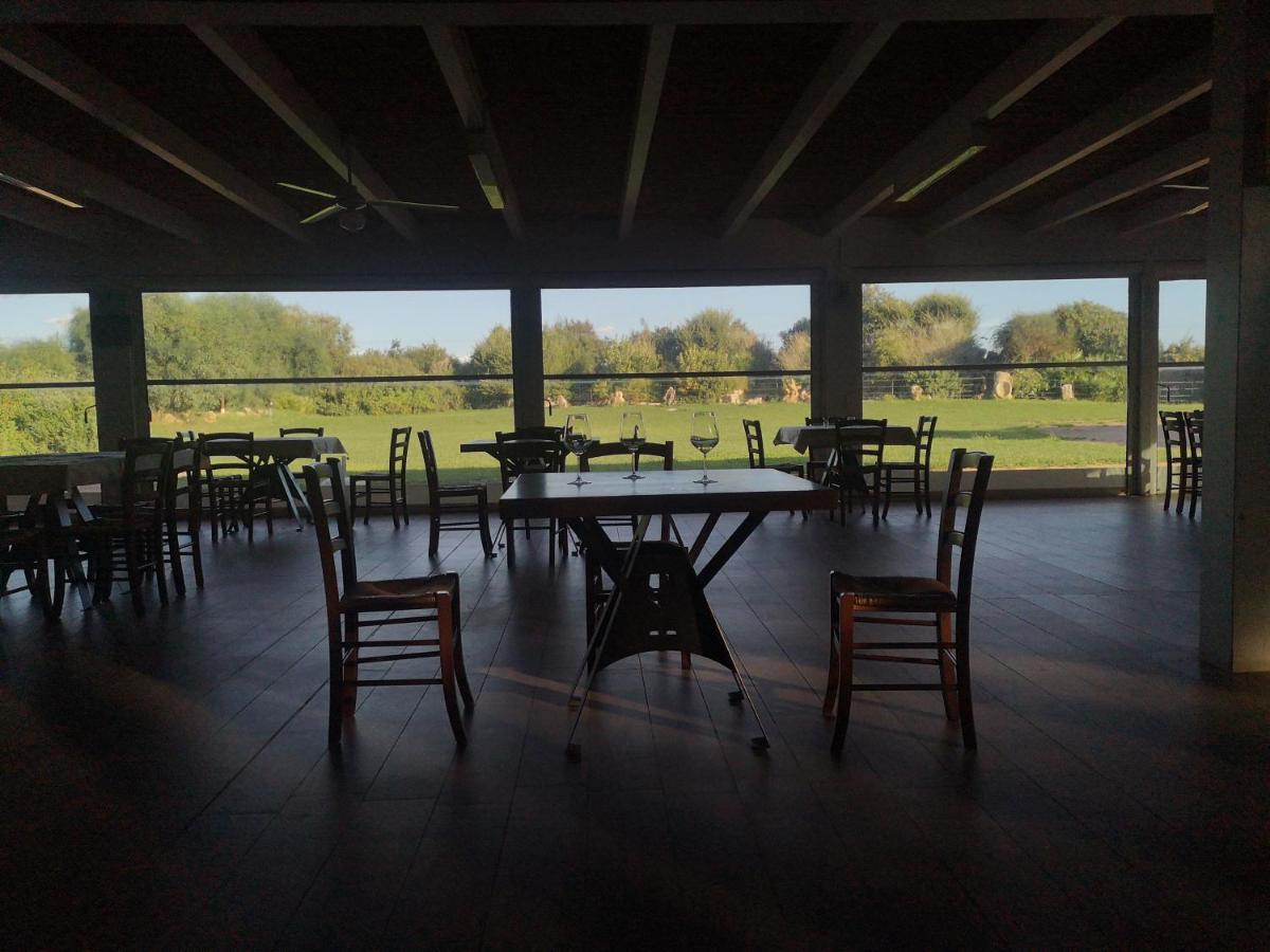 Tenute Delogu Wine Resort (Adults Only) サンタ・マリア・ラ・パルマ エクステリア 写真